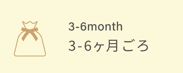 3-6ヶ月ごろ