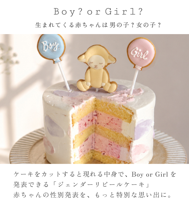 ケーキをカットすると現れる中身で性別発表できるジェンダーリビールケーキ
