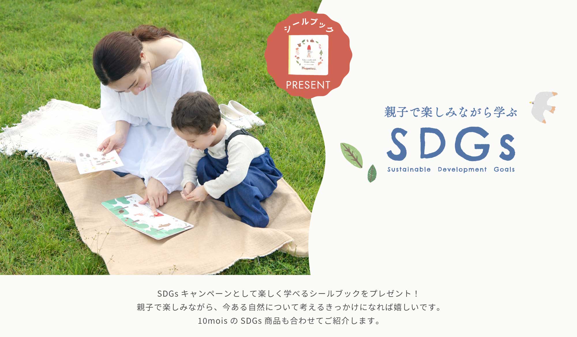 SDGs特集