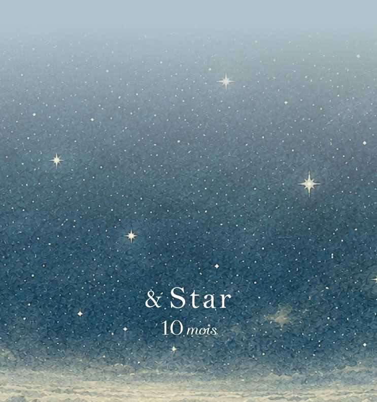 &starシリーズ　ディモワ