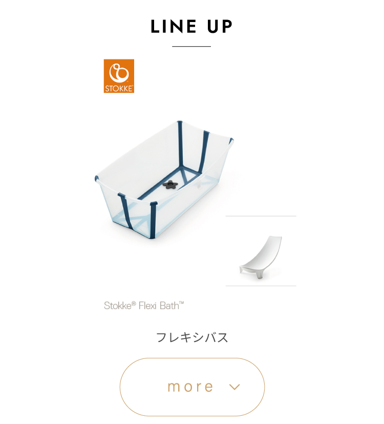 フレキシバス